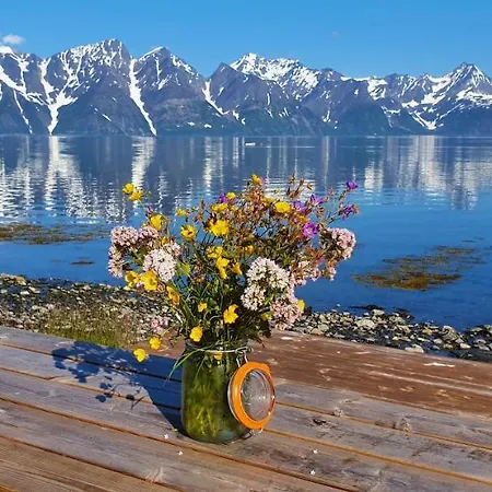 Lyngen Arctic View Дом отдыха