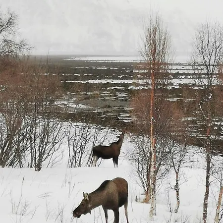 Дом отдыха Lyngen Arctic View Olderdalen