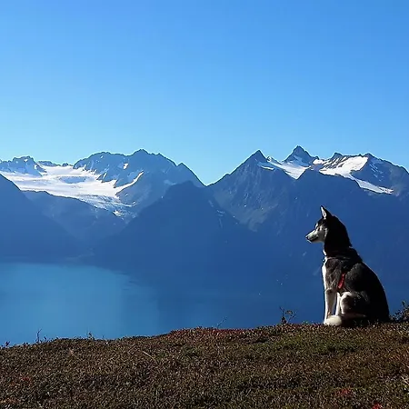 Lyngen Arctic View Дом отдыха *