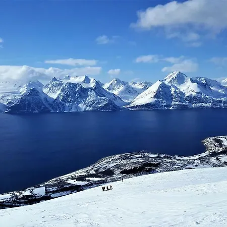 Lyngen Arctic View *