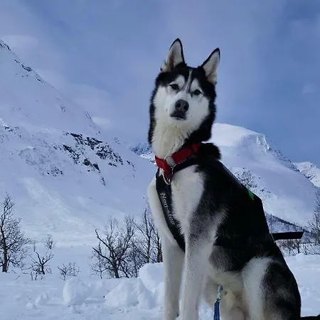 Lyngen Arctic View Дом отдыха Olderdalen
