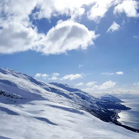 Lyngen Arctic View Дом отдыха Olderdalen