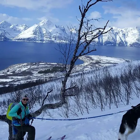 Lyngen Arctic View * Olderdalen